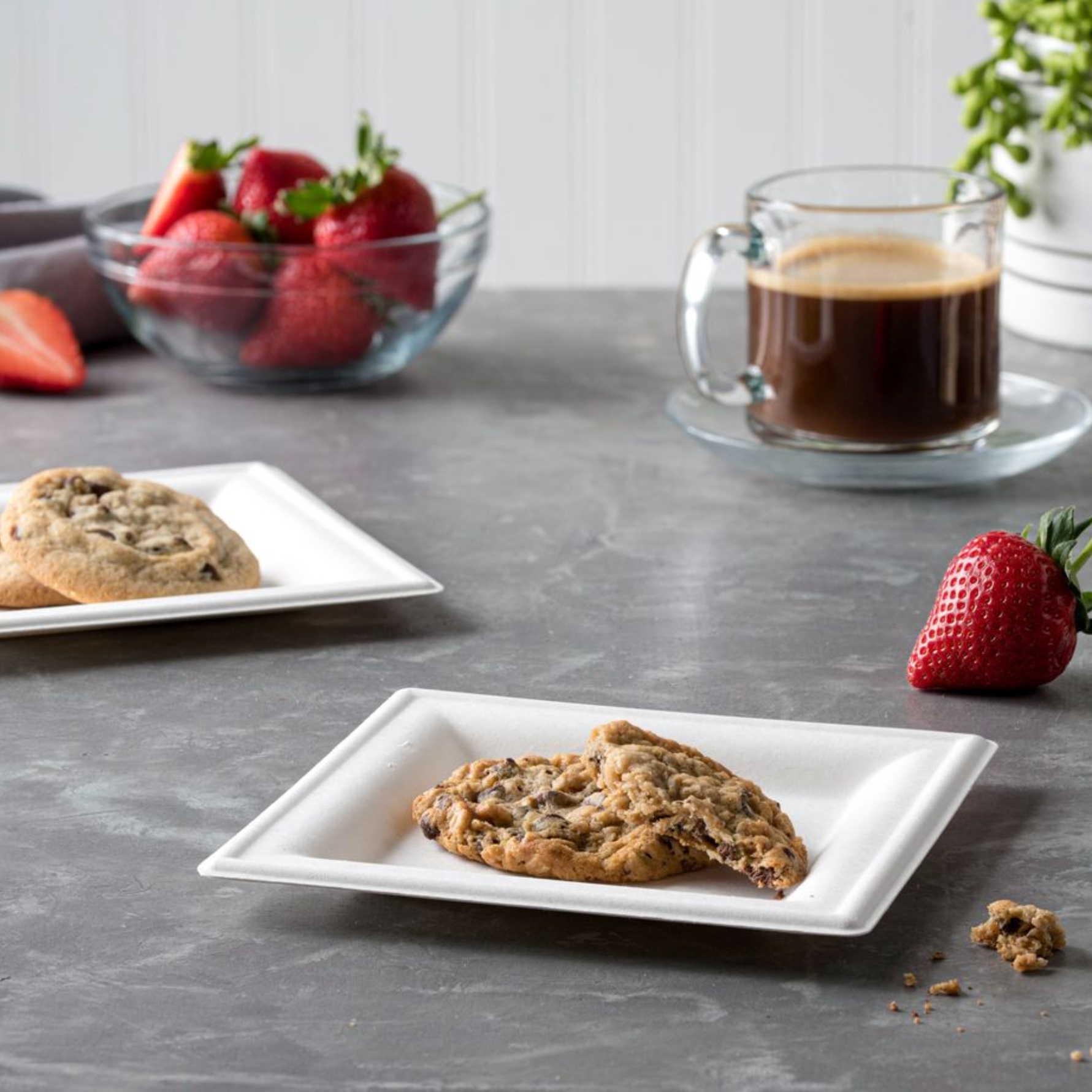 Geofresha Square Plate 7 Inch