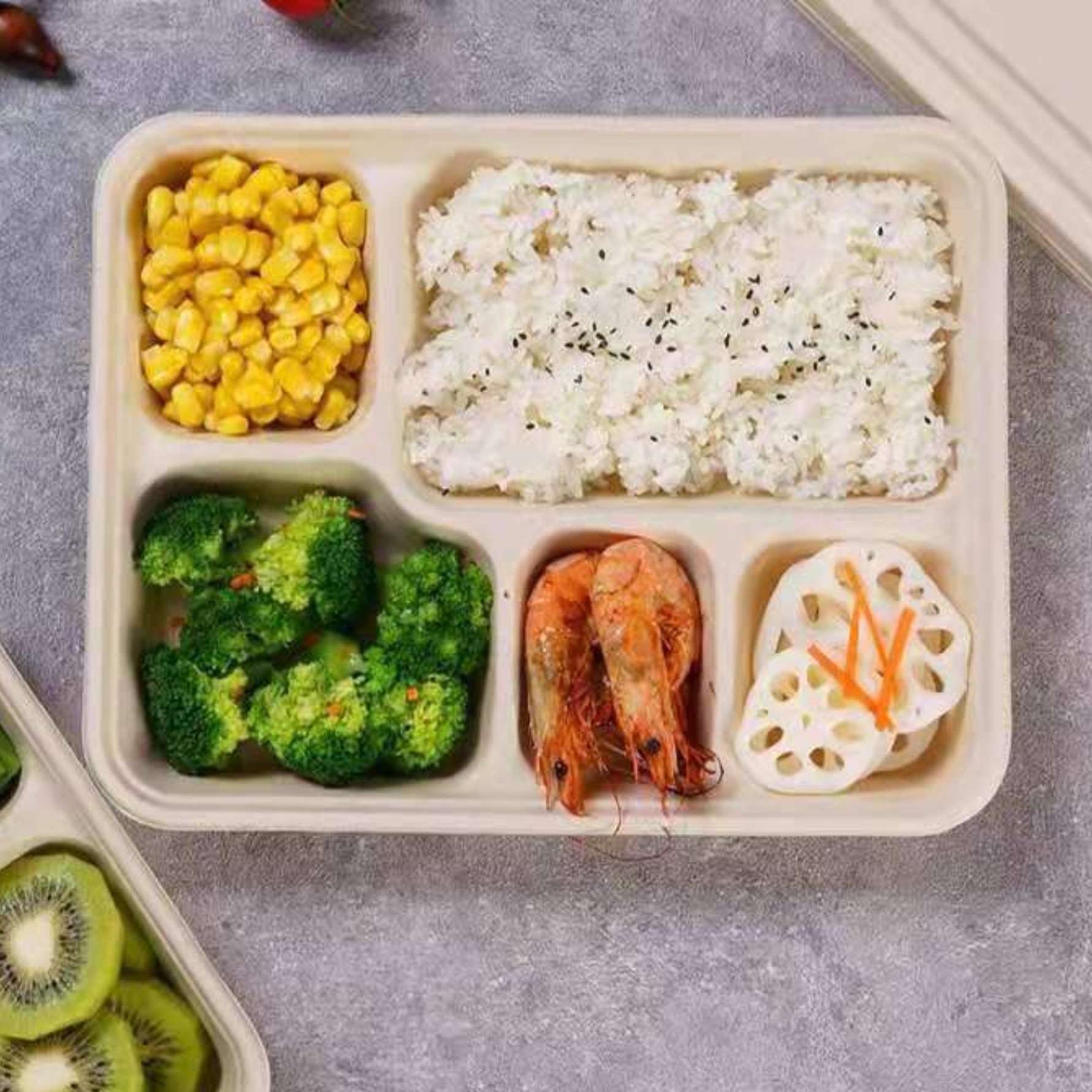 Geofresha Meal Tray 12 Inch 4 CP